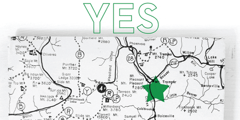 phelpslipton giphyupload GIF