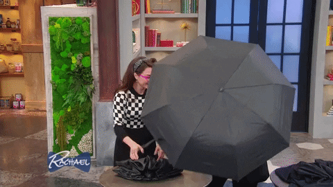 rachaelrayshow giphyupload funny food gif GIF