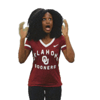 College Football Sticker by DICK'S Sporting Goods