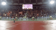 curva sud football GIF by AS Roma