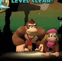 Donkey Kong Nintendo GIF