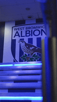 West Brom Wba GIF by West Bromwich Albion