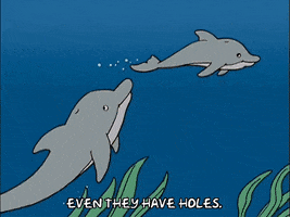 episode 2 dolphins GIF