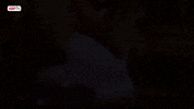Alba GIF by Albacete Balompie
