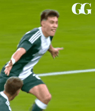 GreenGeo giphyupload football soccer celebration GIF