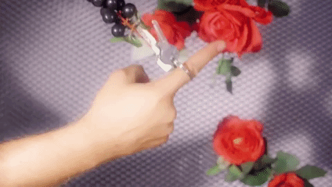 video art GIF by Zita Nagy
