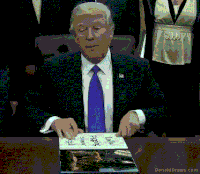 law disrespect GIF