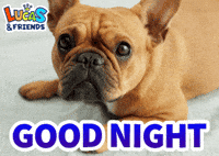 Good Night Sleeping GIF by Lucas and Friends by RV AppStudios