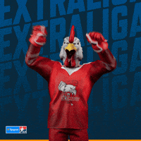 Hockey Hokej GIF by Tipsport extraliga