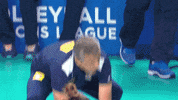 Ze Roberto Brazil GIF by Volleyball World