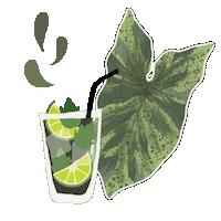 Mojito Sticker