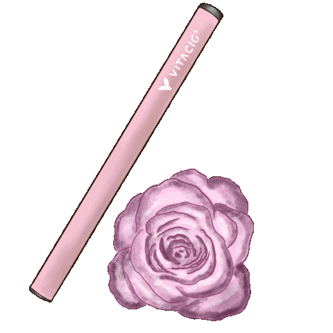 Rose Ciggaretes Sticker by Vitacig