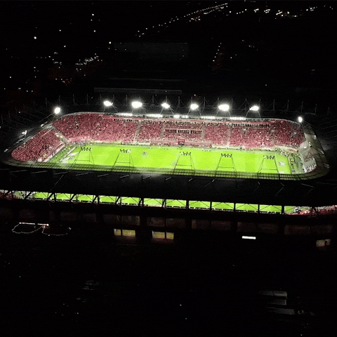 Football Soccer GIF by Widzew Łódź