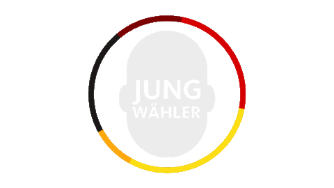 juwiesbaden giphyupload wiesbaden ingmarjung teamjung Sticker