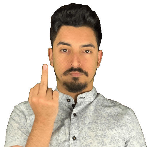 Middle Finger Sticker