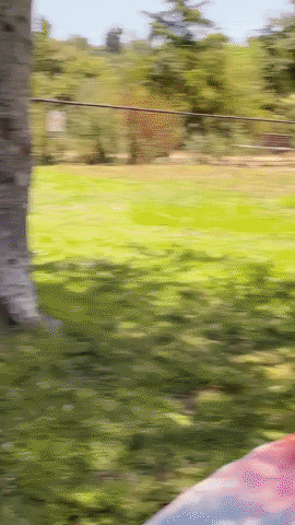 Best Besties GIF