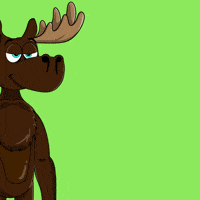 DoYouMoose water nft stop blockchain GIF