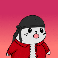 Fun Wow GIF by Sappy Seals Community