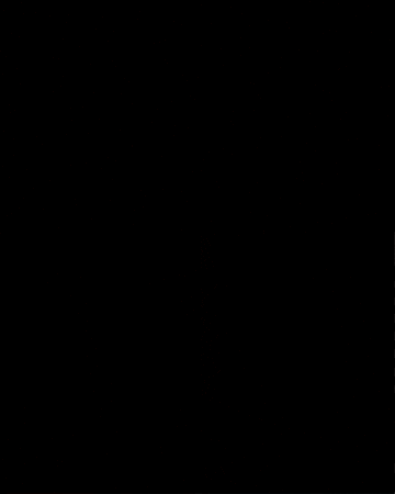 Happy Birthday Party GIF