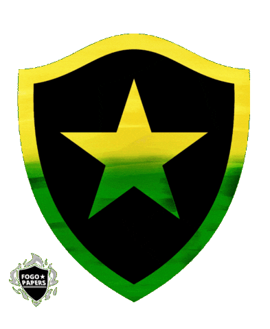 Copa Do Mundo Futebol Sticker