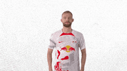 Football Soccer GIF by RB Leipzig
