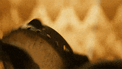 hbo guitar GIF by Vinyl