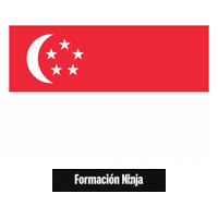 Singapore Flag Sticker by Formación Ninja
