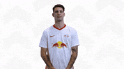 Dominik Szoboszlai Smile GIF by RB Leipzig