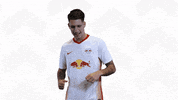 Happy Oh Yeah GIF by RB Leipzig