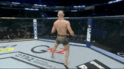 Conor Mcgregor Sport GIF by UFC