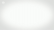 See Red Bull GIF by FC Red Bull Salzburg