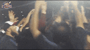 EvansvilleOtters happy excited celebrate baseball GIF