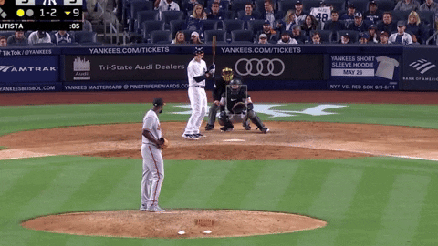 tesstass giphyupload GIF