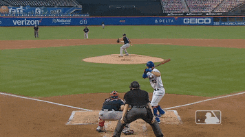 Ny Mets Baseball GIF by New York Mets