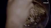 viceland GIF by Kentucky Ayahuasca