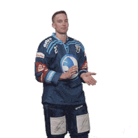 Hockey Applause Sticker by HC Škoda Plzeň