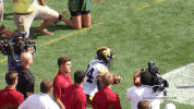 football GIF by University of Iowa Hawkeyes Athletics