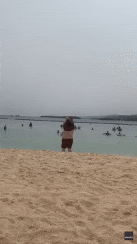 'Nothing But Love': Beachgoers Cheer as Shy Man Takes Off Shirt in Public for First Time
