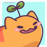Cat Smile GIF by Castaways