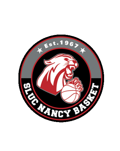 Sport Logo Sticker by SLUCNancyBasket