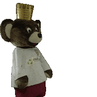 High Five Bear Sticker by BFC Dynamo