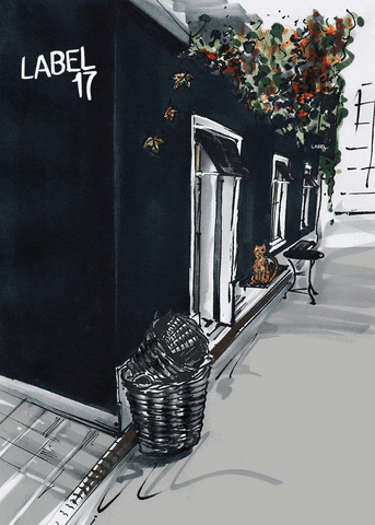 LABEL17 giphyupload GIF