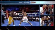 toprank boxing fighting espn fighters GIF