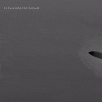 Im Out Black And White GIF by La Guarimba Film Festival