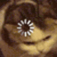 Cat Buffering GIF
