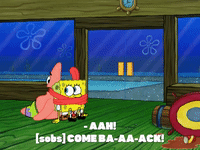 season 8 episode 10 GIF by SpongeBob SquarePants