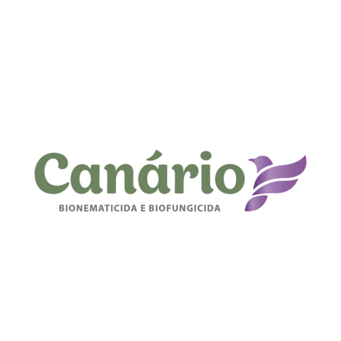 Canario Sticker by AgRoss