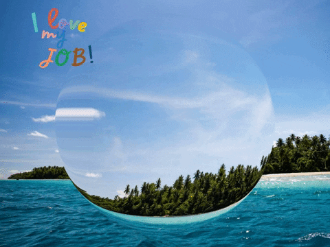 Germany Wow GIF by FranchiseCHECK.de