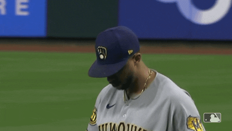 Sport Cant See Me GIF by Milwaukee Brewers