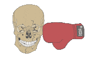 Skull Maxilofacial Sticker